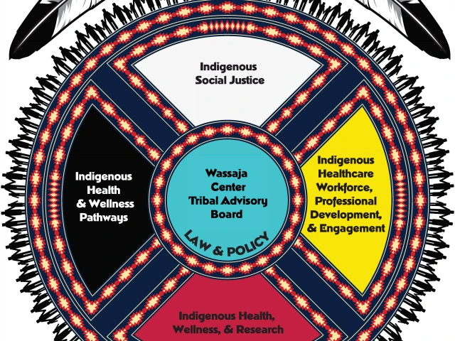 Wassaja Vision