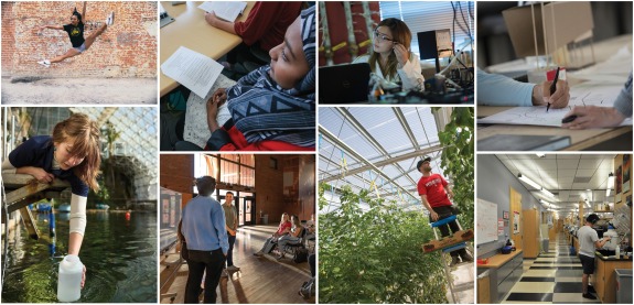 Montage of students performing a variety of academic work