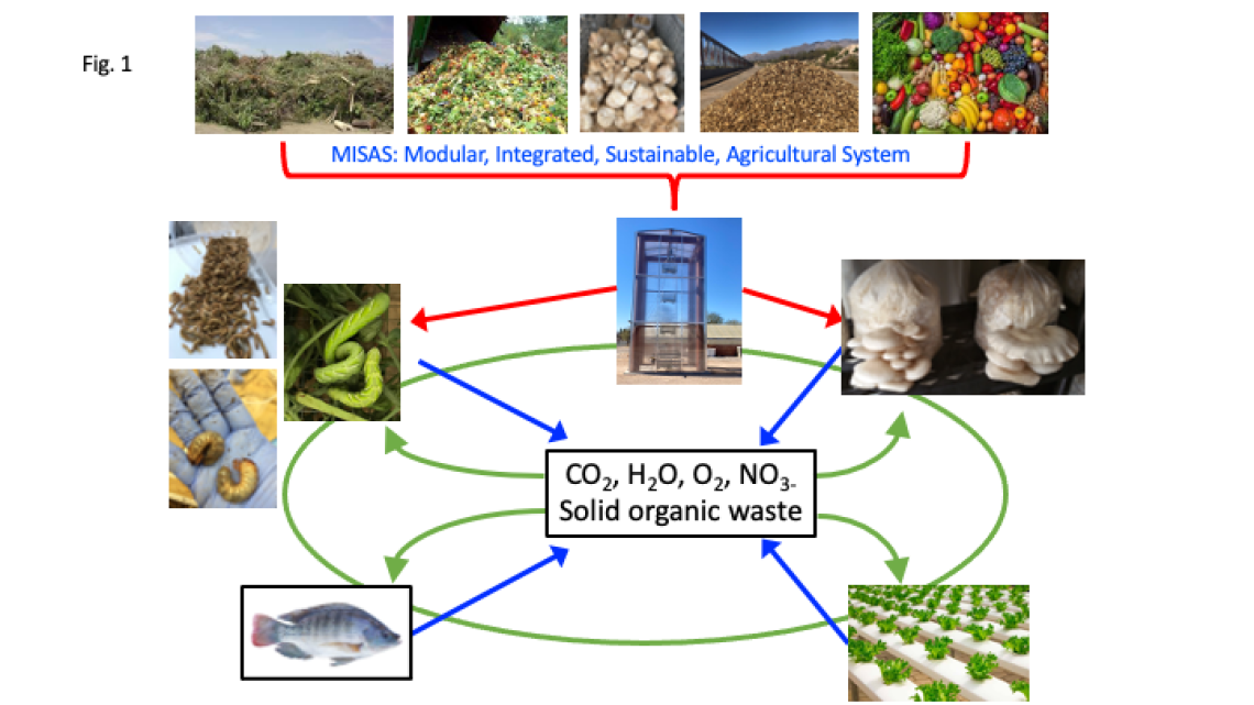 interaction of Elements in a modular integrated sustainable agriculture system (MISAS)