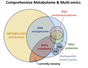 Comprehensive Metabolome